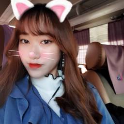 채밍구