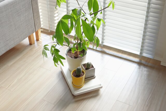 移ろう暮らしに寄り添うミニマルデザインの道具。towerの台車