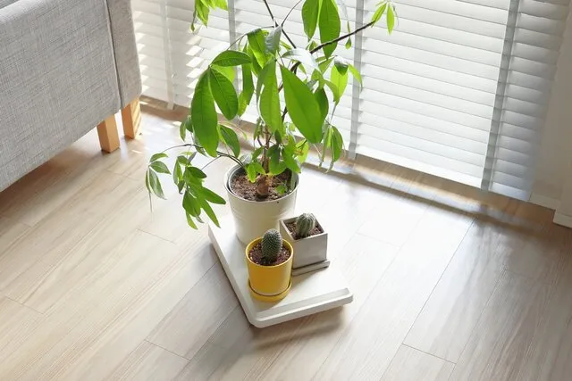 移ろう暮らしに寄り添うミニマルデザインの道具。towerの台車