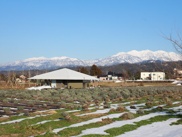 香りで、自分のごきげんを整える。富山の自然と皮膚科学から生まれたアロマアイテム｜Taroma®