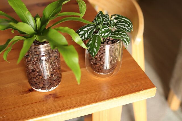 ハイドロカルチャーで軽快な空間作りを。ガラスの透明感を都市型ワンルームのインテリアに