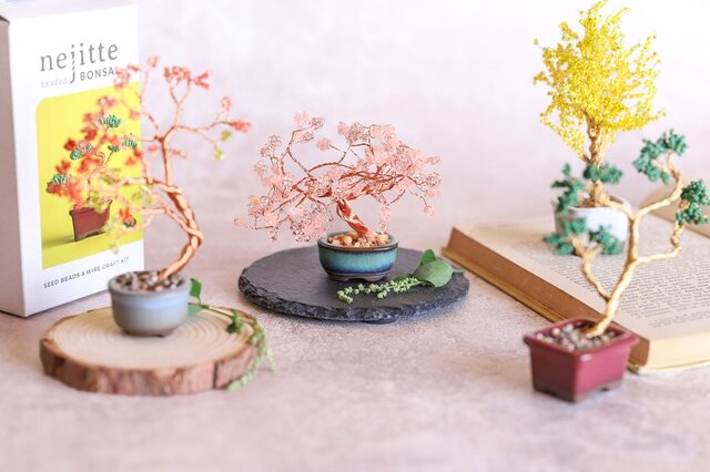 「枯らす不安」を手放して、作る楽しさへ。ネジッテBONSAIキット｜ MIYUKI FACTORY