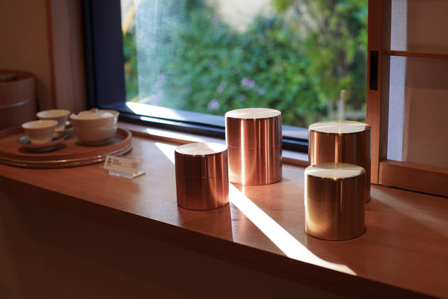 455c55ce-72d6-42c6-8418-