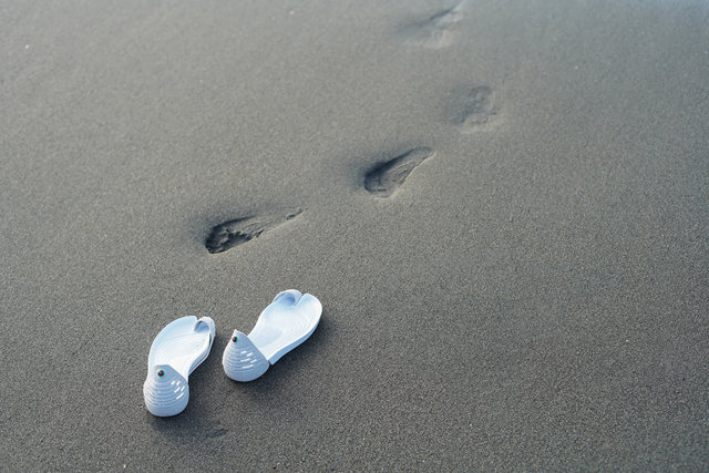 足を解放して野生を取り戻す Iguaneye イグアナアイ Zoom Life