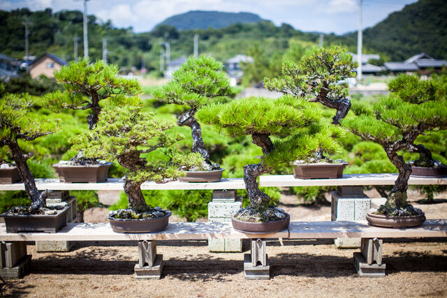 机上に世界を 既製品にクリエイティビティをプラスした こだわりのジオラマ制作のススメ Zoom Life