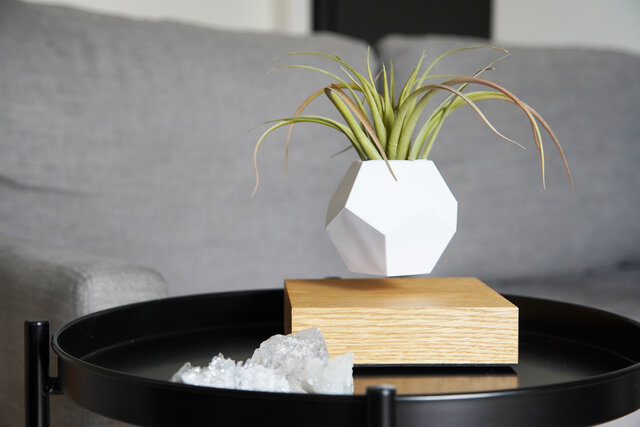 植物を宙に浮かべて育てることができるプランター「LYFE」｜ZOOM LIFE