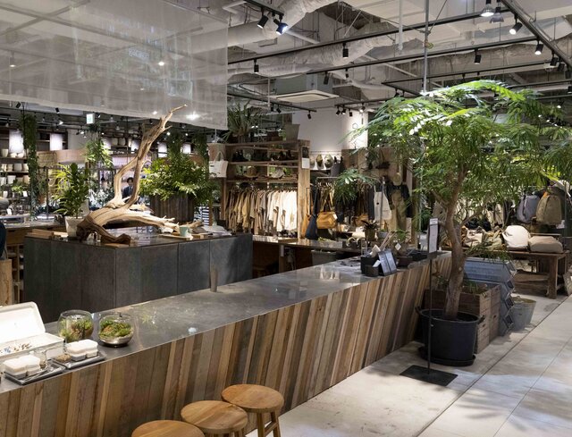 渋谷スクランブルスクエアや丸ビルにも。植物とのワクワクした暮らしを