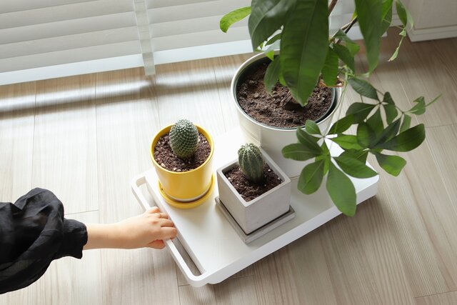移ろう暮らしに寄り添うミニマルデザインの道具。towerの台車｜ZOOM LIFE