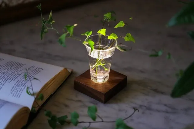 オブジェに再び輝きを。twodo ライトベース｜ZOOM LIFE