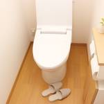 おしゃれなトイレインテリア実例17選♡簡単にすっきり見せるコツや運気アップのポイントも!