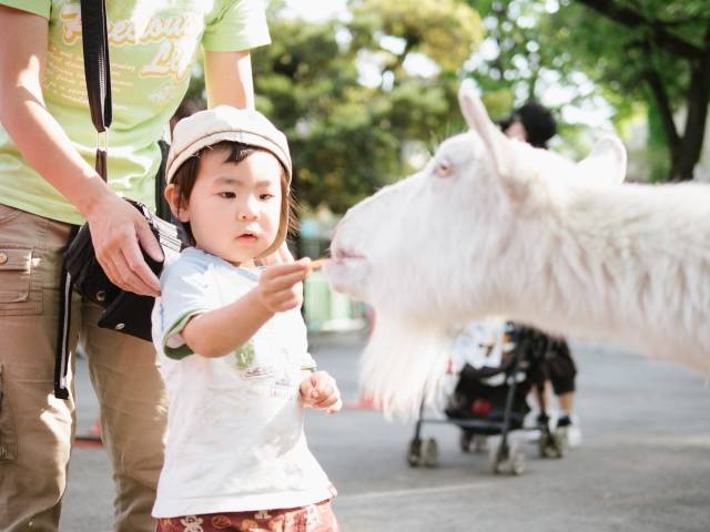 【家族で動物園/全国版人気13選】子供とのお出かけに♪何歳から?持ち物は?疑問も解決♡