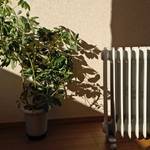 オイルヒーターの気になる電気代!やっぱり高いの?安くする方法は?おすすめの機種もご紹介♡