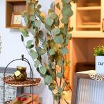 おしゃれなカフェ風インテリア実例24選♡100均雑貨や観葉植物を飾って落ち着く空間に変身!
