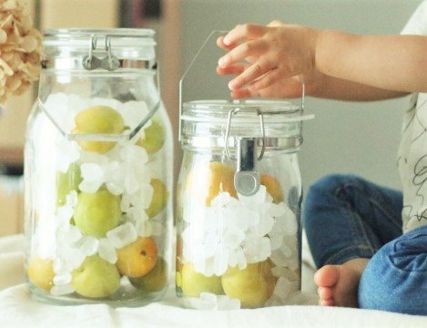 子どもと楽しむ梅シロップの基本の作り方～梅の旬の恵みを1年中味わう暮らしのレシピ～