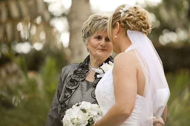 Free photo: Bride, Grandmother, Grandma, Family - Free Image on Pixabay - 663206 (10761)