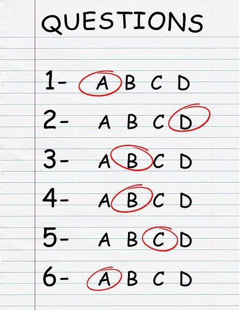 Free photo: Quiz, Test, Exam, Questionnaire - Free Image on Pixabay - 1373314 (14044)