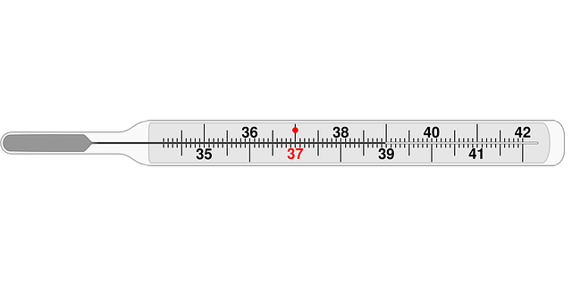 Free vector graphic: Thermometer, Medical - Free Image on Pixabay - 161173 (26809)