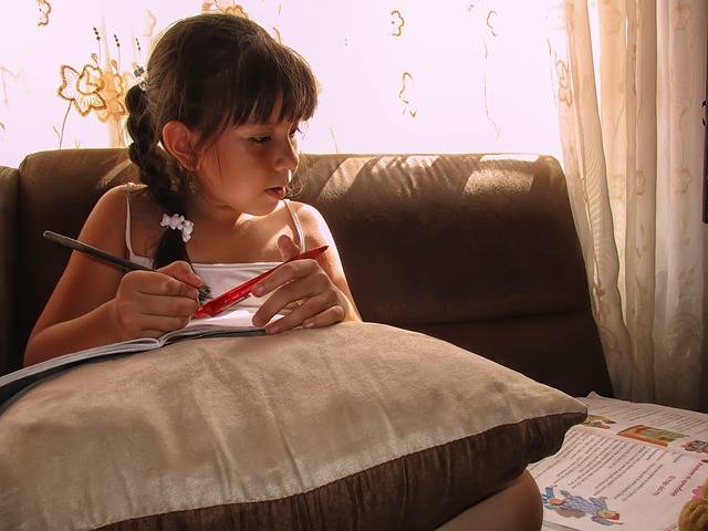Free photo: Student, Girl Studying, Learning - Free Image on Pixabay - 1571488 (28215)