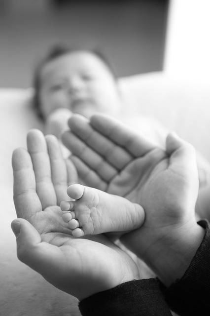 Free photo: Baby, Foot, Hand, Dad, Chiu - Free Image on Pixabay - 560890 (44167)