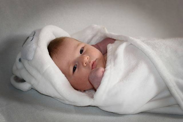 Free photo: Newborn, Child, Baby, Cute - Free Image on Pixabay - 1850445 (46000)