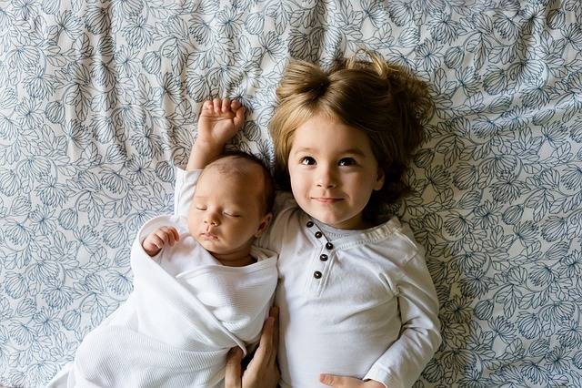 Free photo: Brothers, Family, Siblings, Boys - Free Image on Pixabay - 457237 (47638)