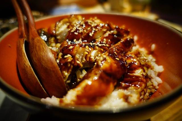 Free photo: Sushi, Japan, Japan Cuisine - Free Image on Pixabay - 1634013 (75433)