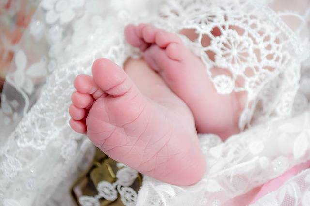 Free photo: Baby, Feet, Cute, Child, Infant - Free Image on Pixabay - 2395283 (78808)