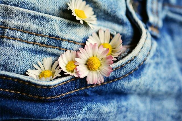 Free photo: Pocket, Daisy, Jeans, Flowers - Free Image on Pixabay - 2324242 (80474)