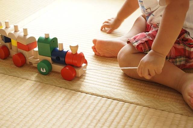 Free photo: Toddler, Building Block, Pull - Free Image on Pixabay - 2009821 (80713)