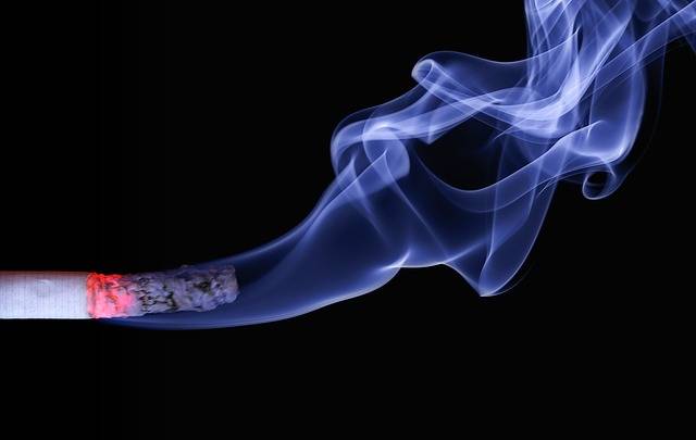 Free photo: Cigarette, Smoke, Embers, Ash - Free Image on Pixabay - 110849 (100769)