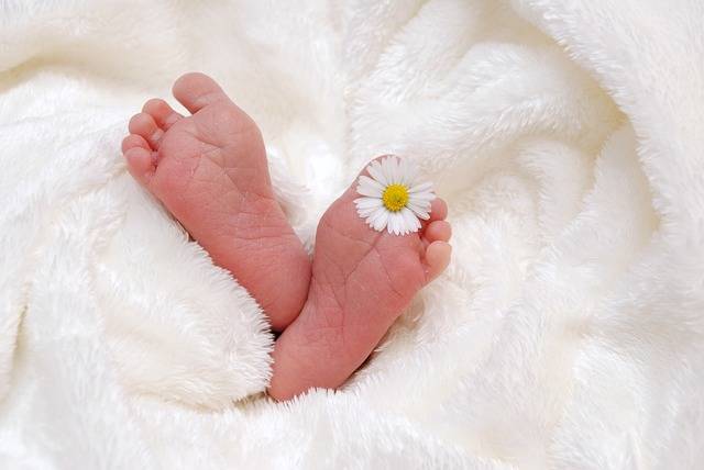 Baby Birth Child - Free photo on Pixabay (163163)