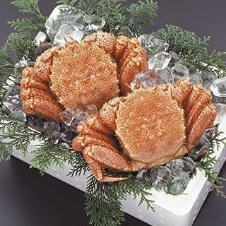 Amazon | 毛ガニ 計1.26kg前後 (約630g×2尾入) 北海道産 大型 ボイル 冷凍 毛蟹 けがに かに カニ | どさんこグルメマーケット | カニ 通販 (129229)