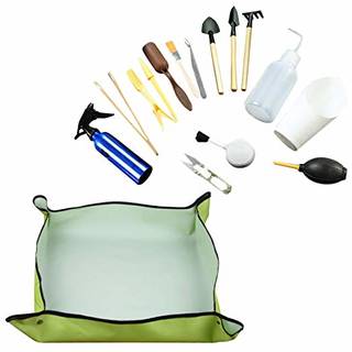 Amazon | Felimoa 観葉・多肉植物 室内　お手入れ　植え替え（泥水汚れ防止シート付）16点ミニ ガーデニング ツール 園芸 用品 セット インテリア 苗 寄せ植え テラリウム ハオルチア サボテン 観葉植物 シャベル スコップ T型 | ハンドスコップ・ハンドシャベル (132989)