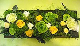 Amazon|アートな立体フレームフラワー(癒しのグリーン&イエローローズ)【プリザーブドフラワー アレンジメント 薔薇】|植物・花 オンライン通販 (137328)