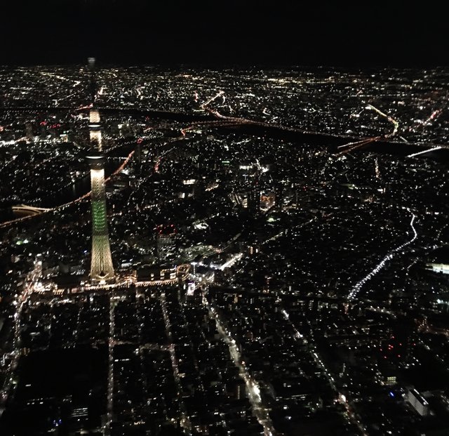 photo by maifujioka (6324)