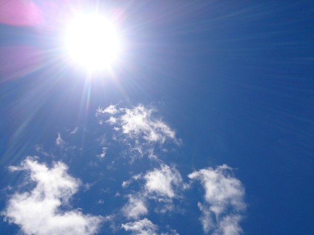 日差しフリー写真