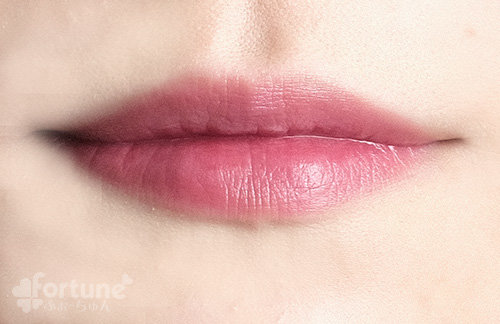 アディクトリップティントタトゥー  ナチュラル ローズウッド