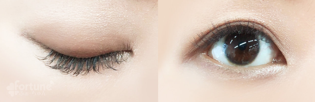 ドラマティックスタイリングアイズ　　マキアージュアイシャドウ　新色　ブラウンシャドウ