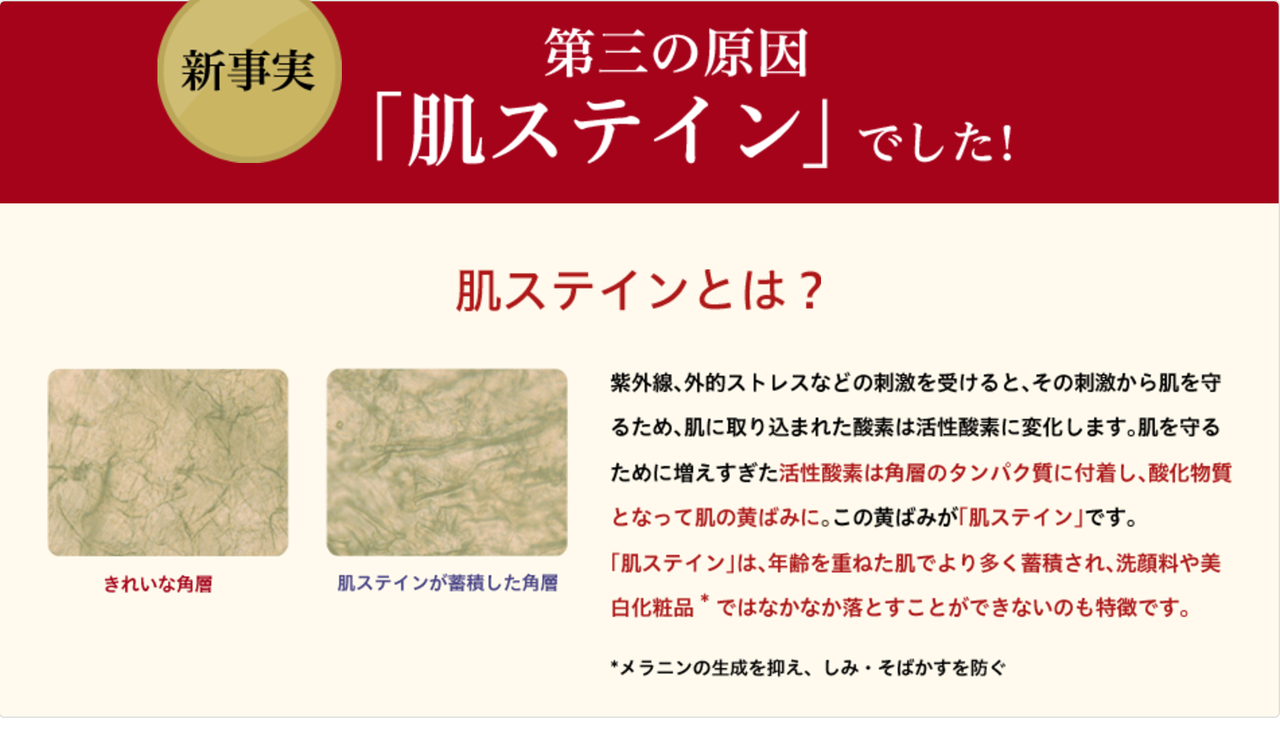 アテニア　クレンジング 下地　リップ　口コミ　使用感