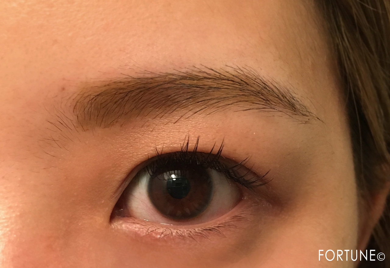 フジコ　眉ティント使用感