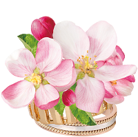 プリメイロアモール