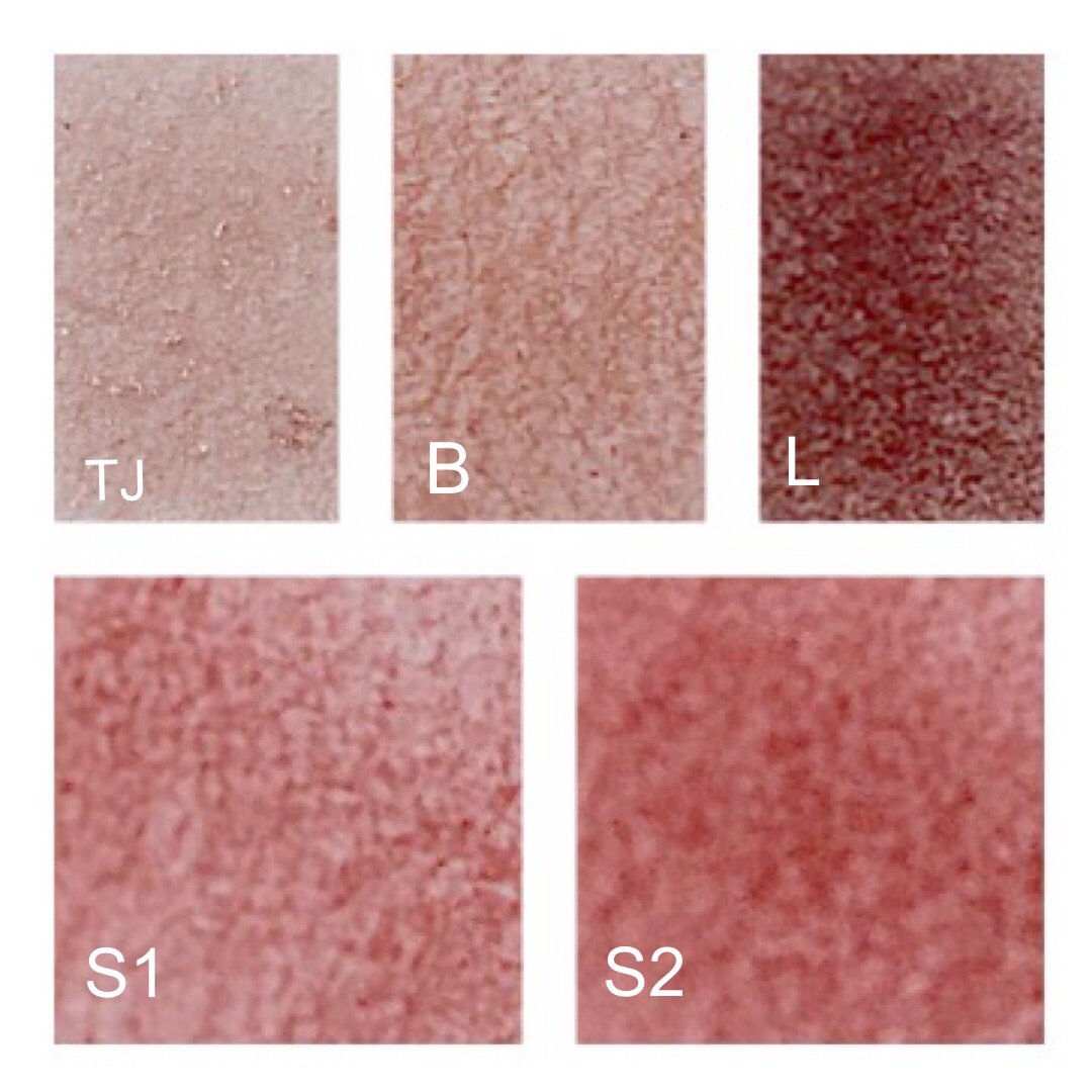 canmaketokyo キャンメイク　パーフェクトスタイリストアイズ14　アイシャドウ　自撮り