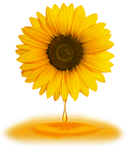 ひまわりオイル　ひまわり　HIMAWARI　ヘアケア　シャンプー　トリートメント　オイル