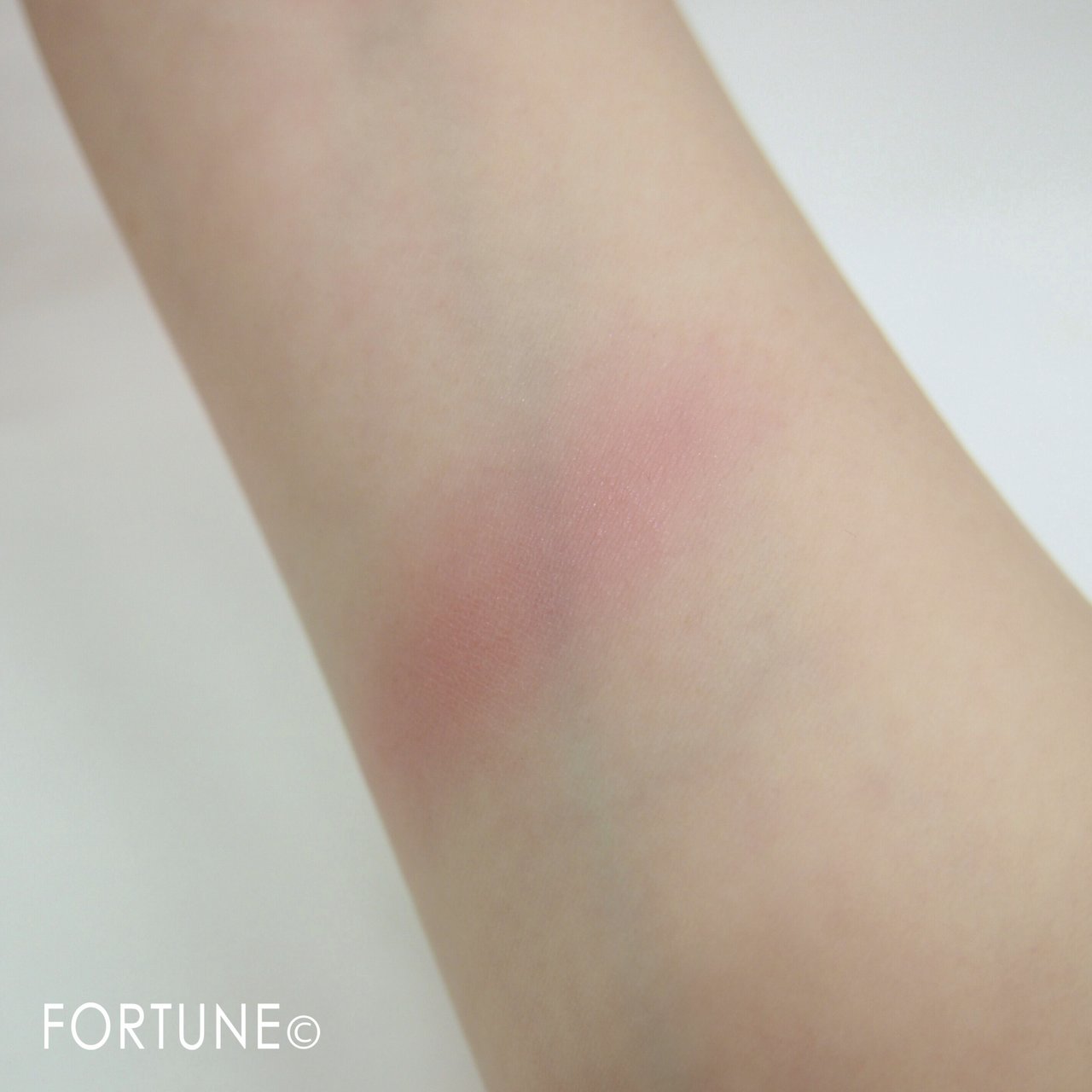 ヴィセ チーク PK801使用感