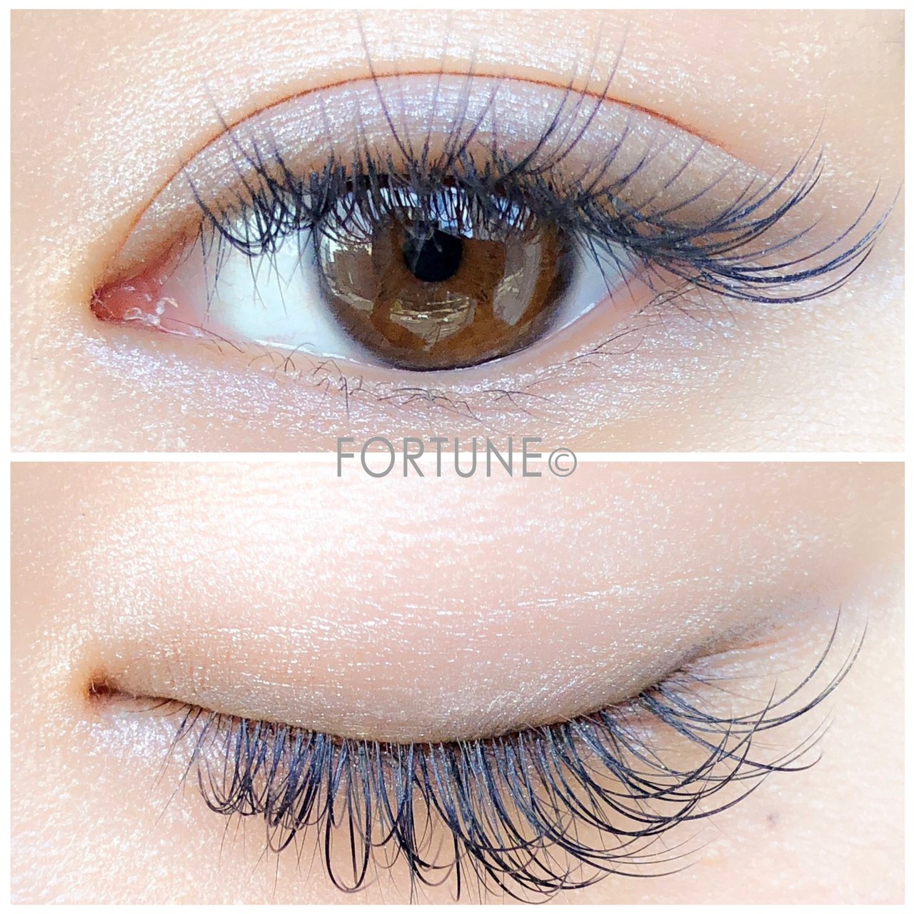 ちふれ　プチプラ　コスメ　アイシャドウ　グラデーションアイカラー　リキッドアイライナー　アイメイク