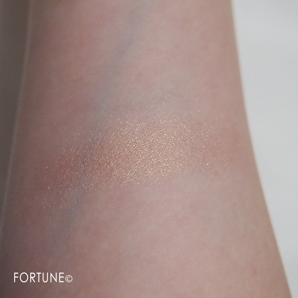 シャドーカスタマイズ「ゴージャス姉妹」使用感