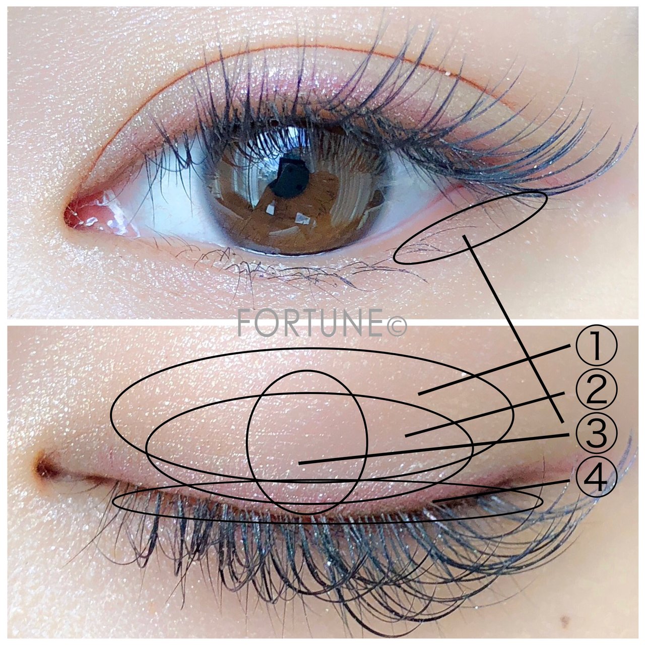 アテニア　Attenir　春コスメ　春メイク　2018年春限定メイク　新作コスメ　アイシャドウ　リップ　ルージュクレヨン　アイカラー　グロウクリエイター