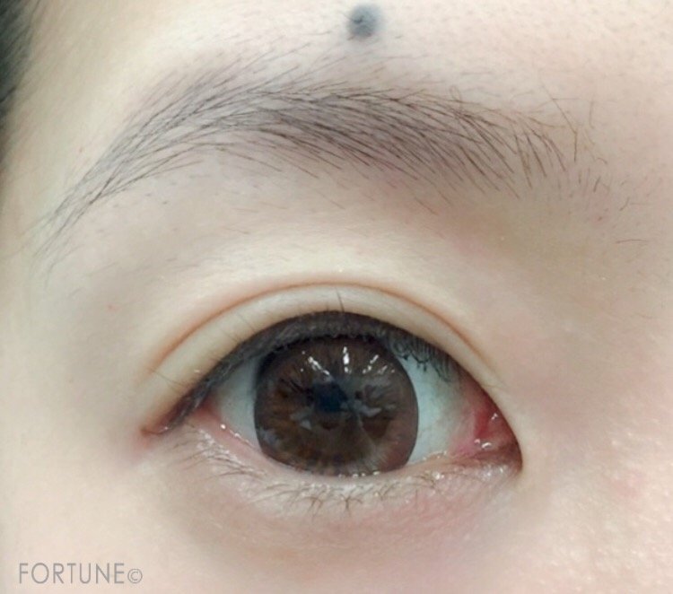 眉　アイブロウ