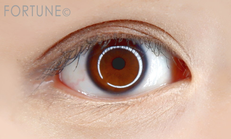 シルキーシャドー