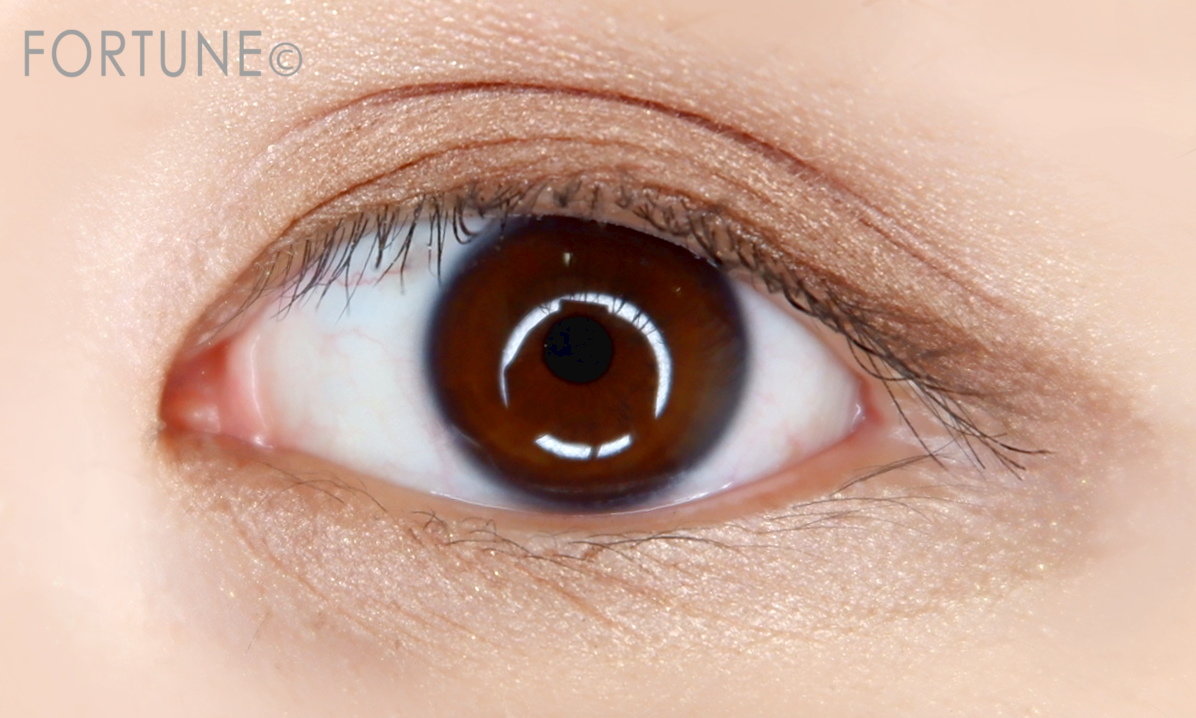 シルキーシャドー